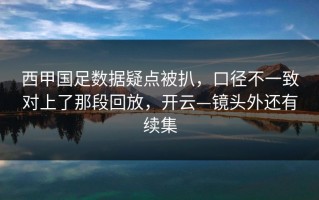 西甲国足数据疑点被扒，口径不一致对上了那段回放，开云—镜头外还有续集